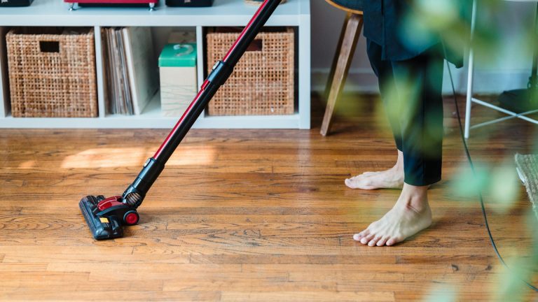 Lutte contre les puces : les solutions naturelles pour assainir votre intérieur
