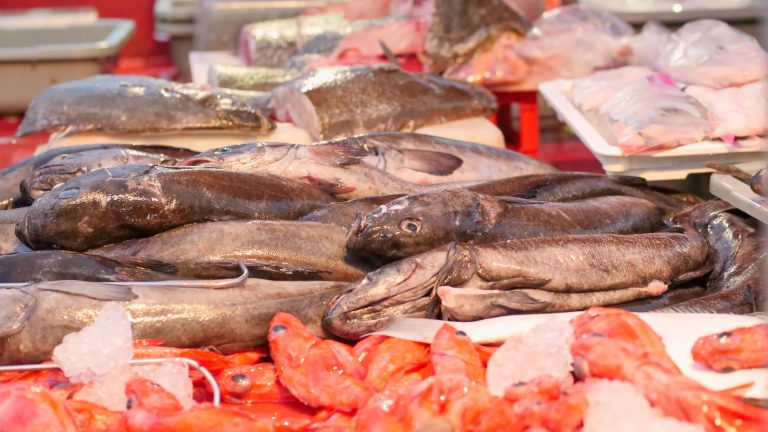 Poisson en circuit court : 5 solutions pour acheter du poisson frais
