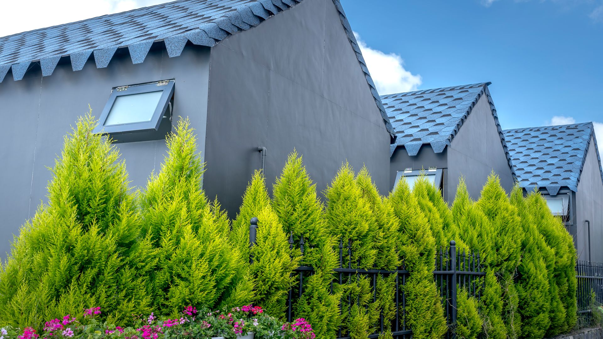 Toiture végétalisée sedum : tapis ou bac pour une isolation efficace ?