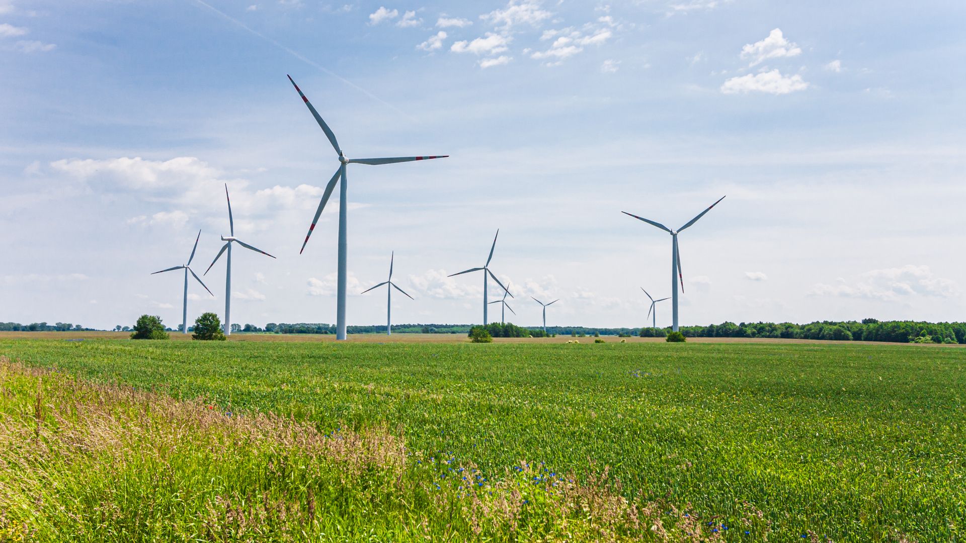 Comment marche une éolienne : les 4 étapes de la production électrique ?
