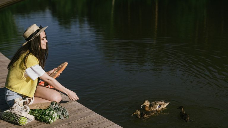 Quel aliment ne pas donner à un canard pour sa santé ?