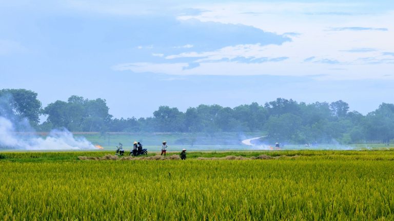 Agence de l’eau Adour-Garonne : tensions cachées entre financement agricole et crise climatique