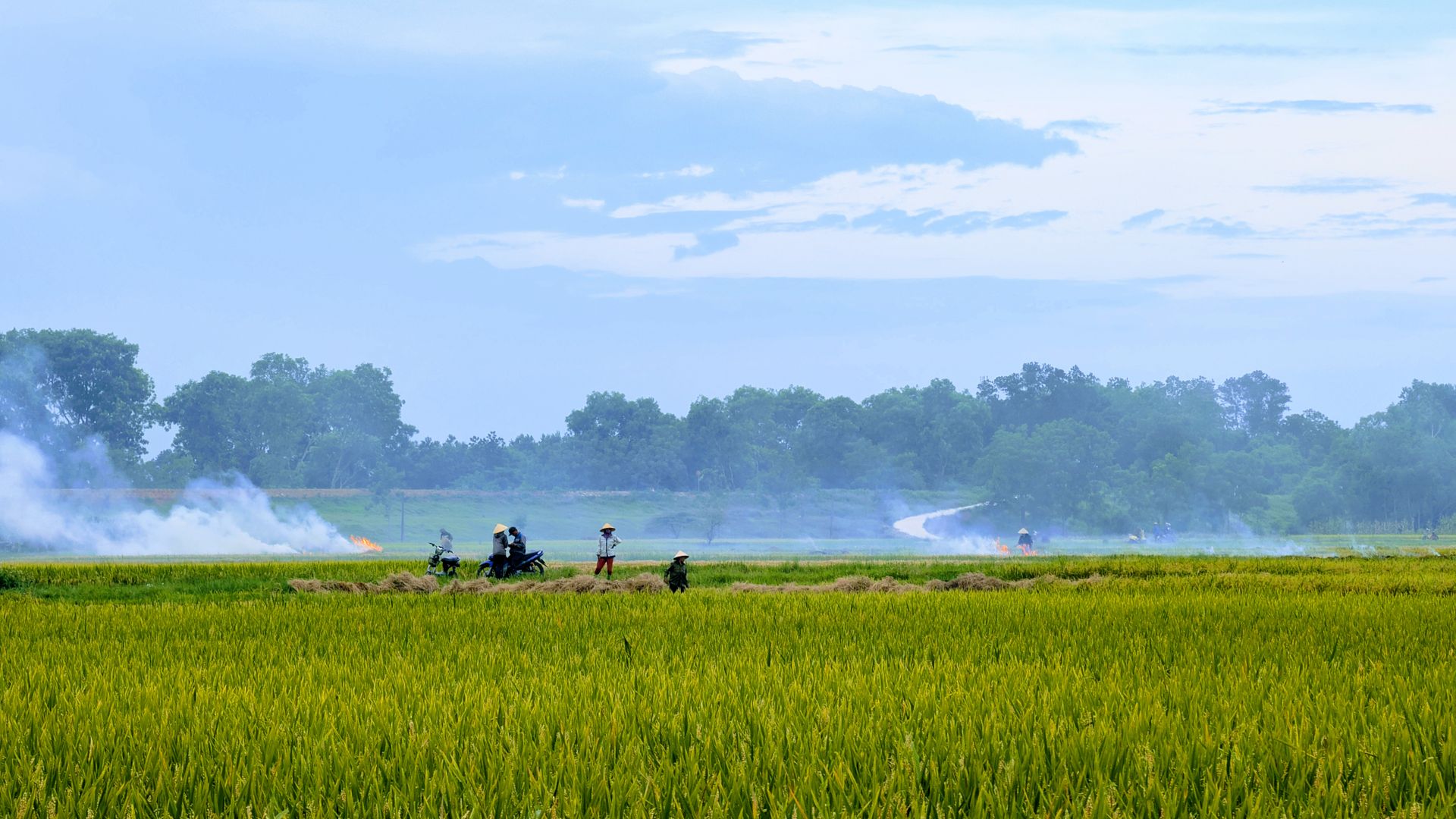 Agence de l’eau Adour-Garonne : tensions cachées entre financement agricole et crise climatique