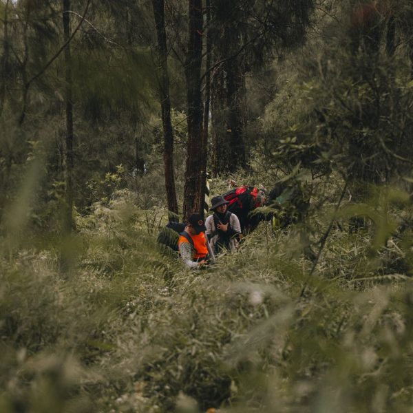 Balades en forêt autour de moi : choisir selon profil et contraintes