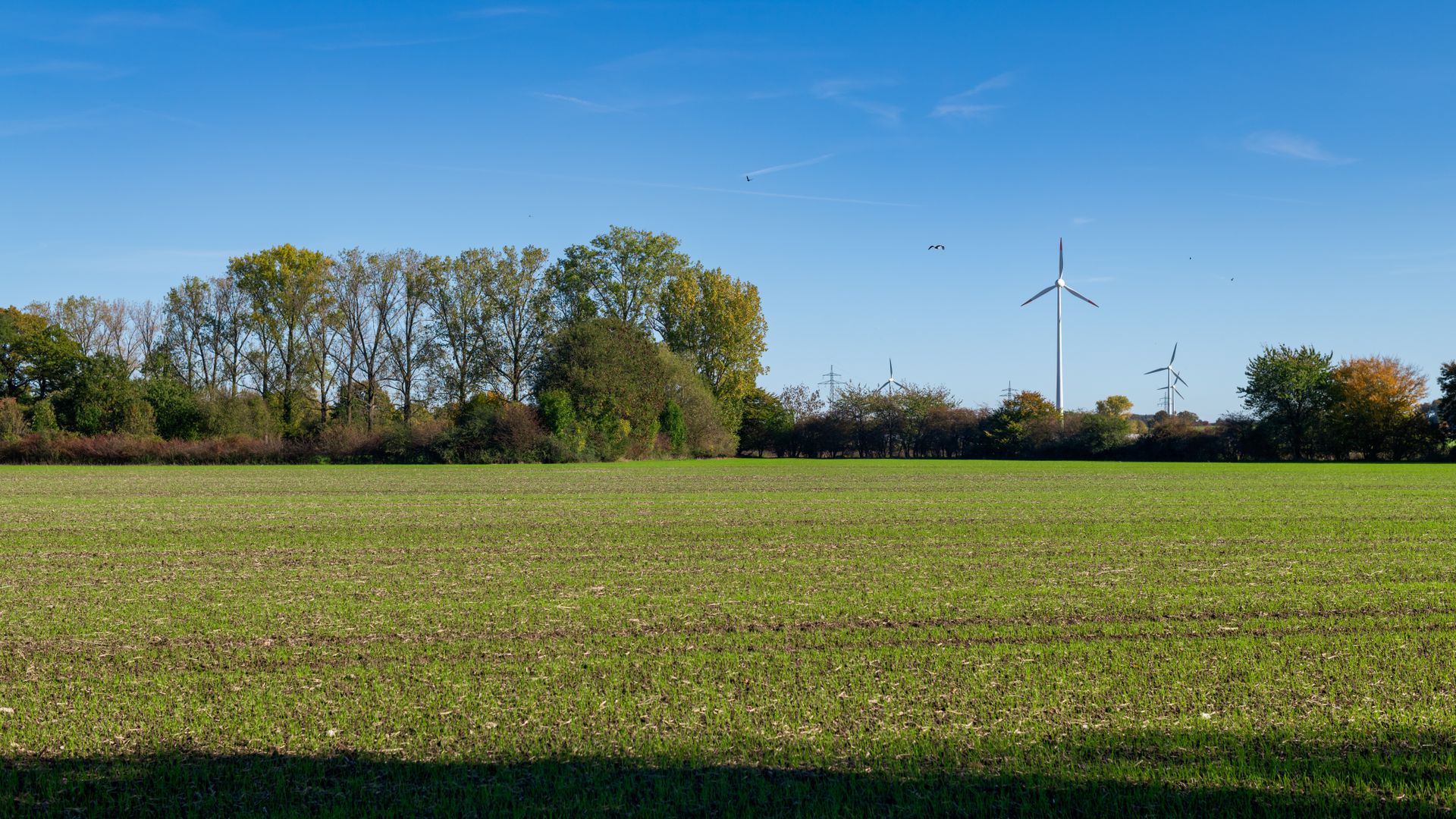 Comment fonctionnent les éoliennes pour un exposé clair et visuel ?