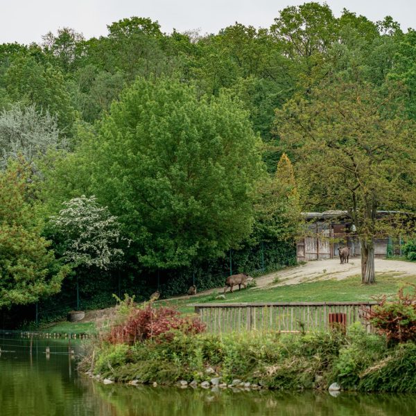 Poudrerie de Sevran-Livry : devenue refuge de biodiversité près du RER