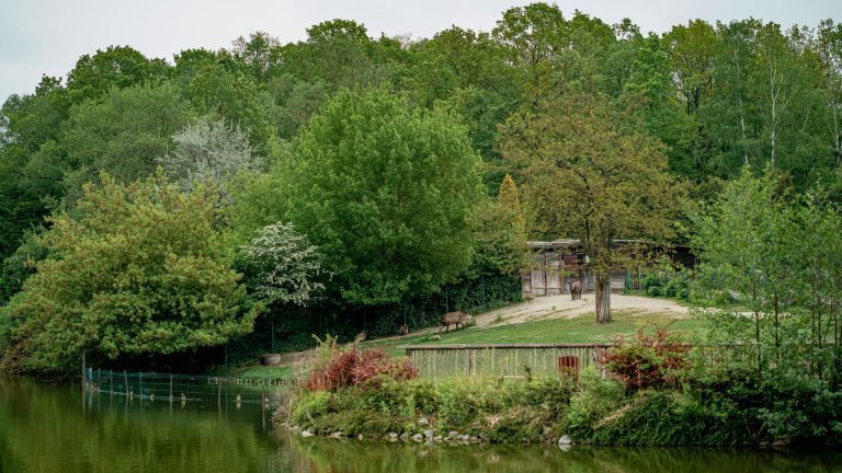 Poudrerie de Sevran-Livry : devenue refuge de biodiversité près du RER