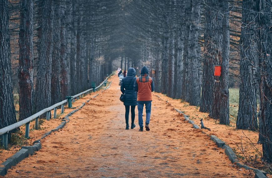 Promenade en forêt autour de moi : choisir selon temps, forme et envies